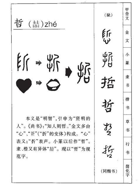 哲五行|哲字的五行属性